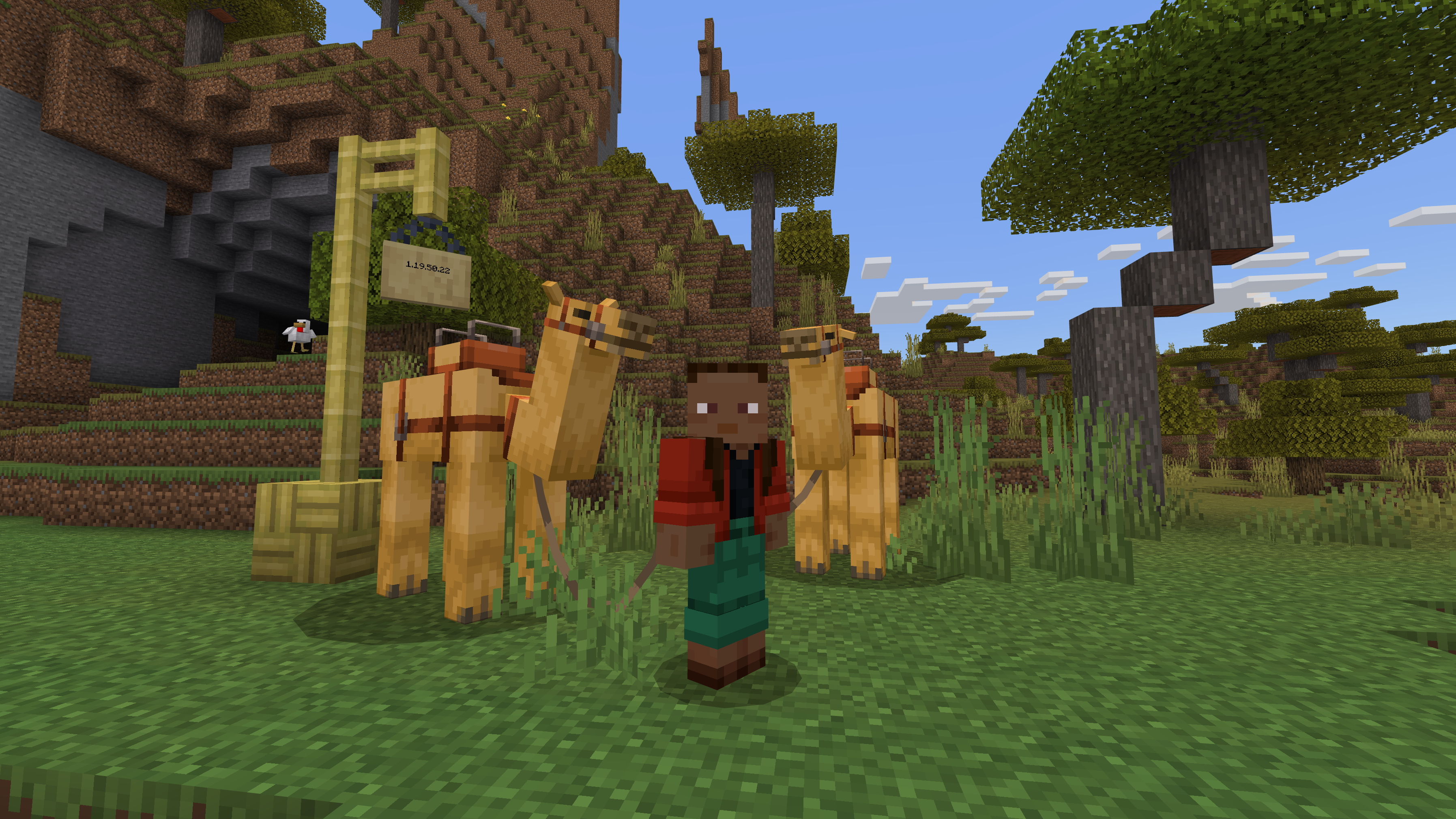 A Minecraft screenshot showing a character and two camels on leads, standing near a bamboo fence and hanging sign