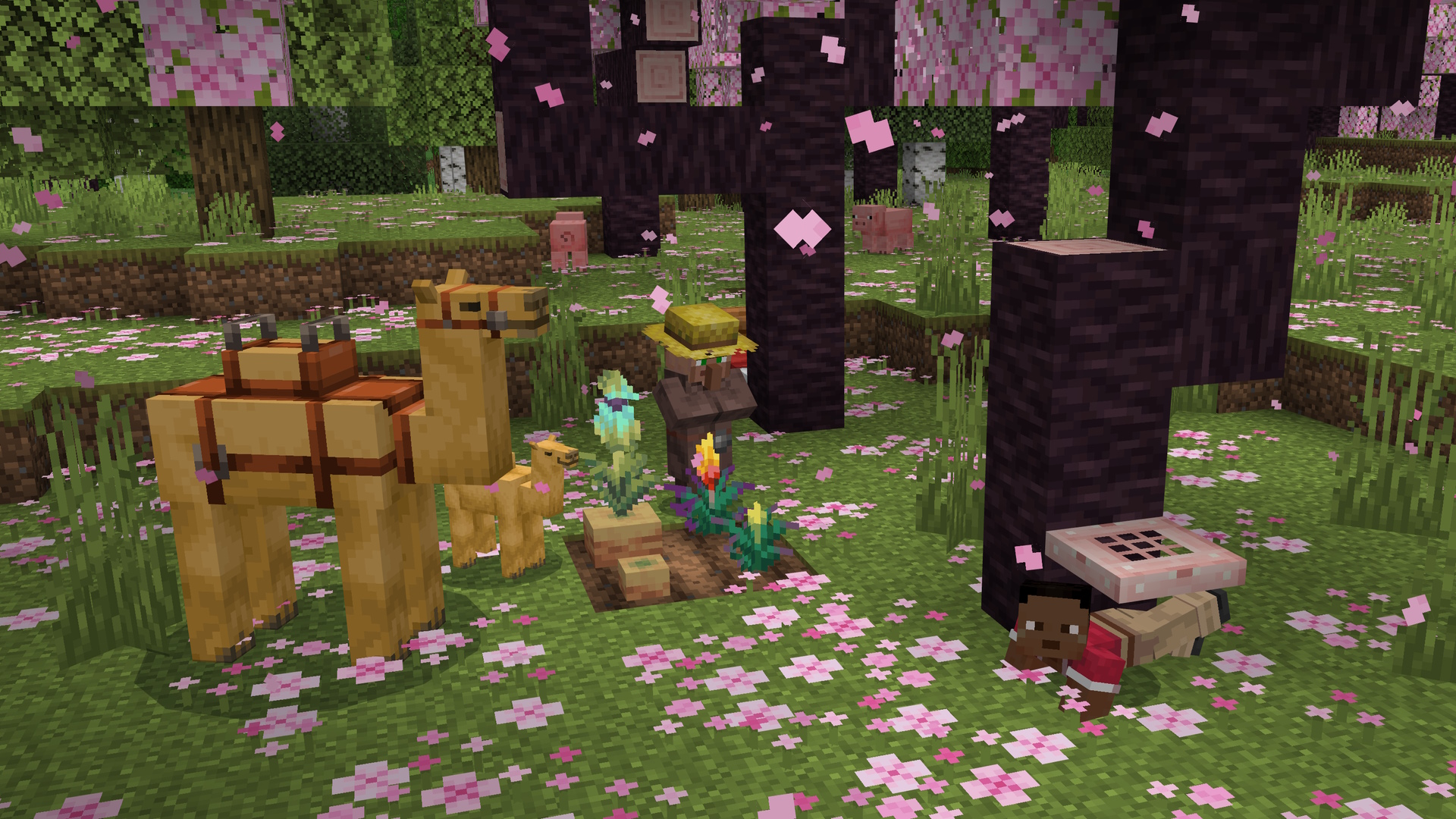 لقطة شاشة من Minecraft تظهر لاعبًا يزحف تحت باب سحري من خشب الكرز في بستان كرز ، مع قروي يقف بالقرب من بعض الزهور المزروعة وزوج من الجمال.