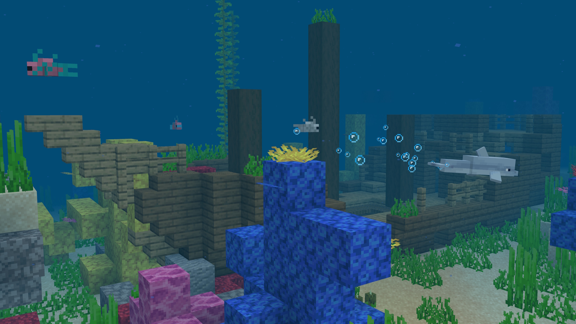 A Minecraft shipwreck underwater with tropical fish and a dolphin nearby