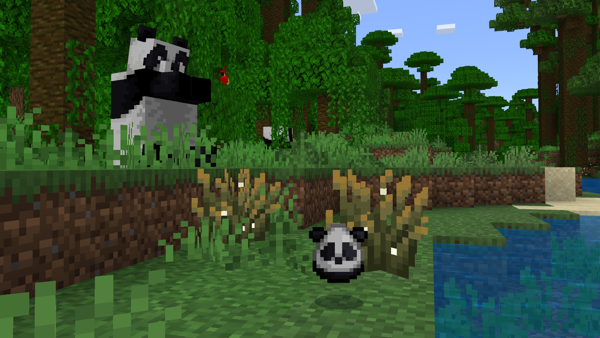 A dropped panda spawn egg in a bamboo jungle. There are pandas nearby, and a red parrot can be seen in the tree.