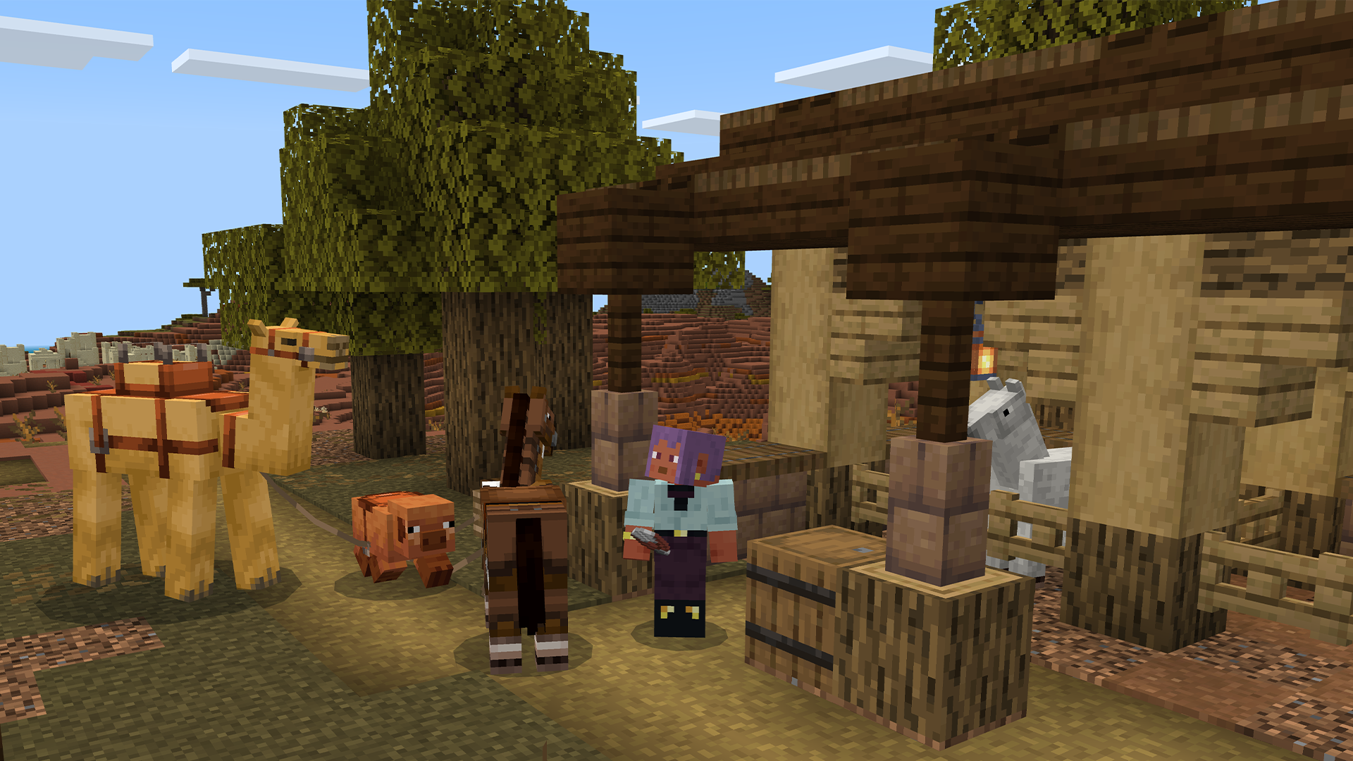 Efe is holding shears, ready to use them on some animals that are wearing saddles.
