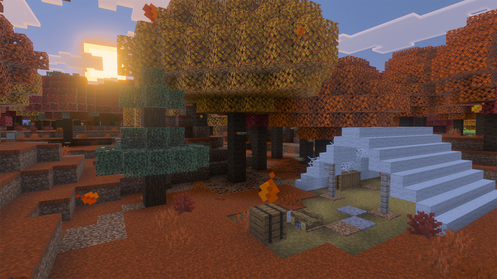 An abandoned camp in a dappled forest