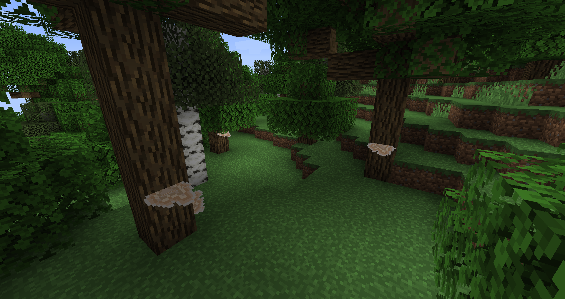 Shelf Fungus Minecraft Feedback Shelf Fungus Minecraft Feedback